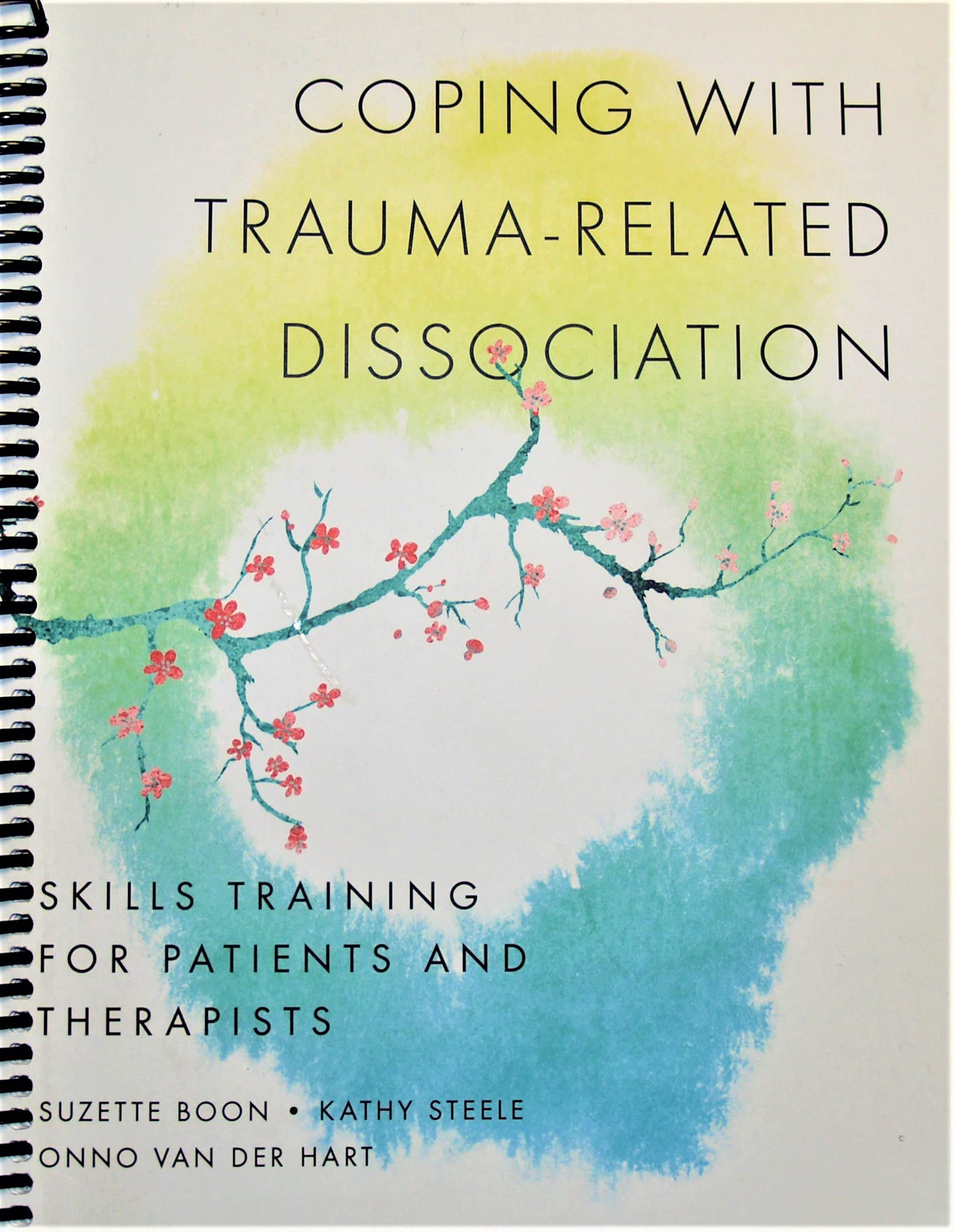 coping with trauma related dissociation        <h3 class=