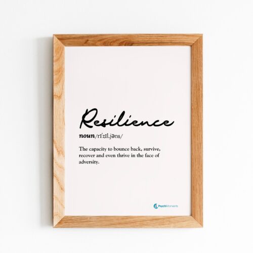 The Essence of Resilience Frame