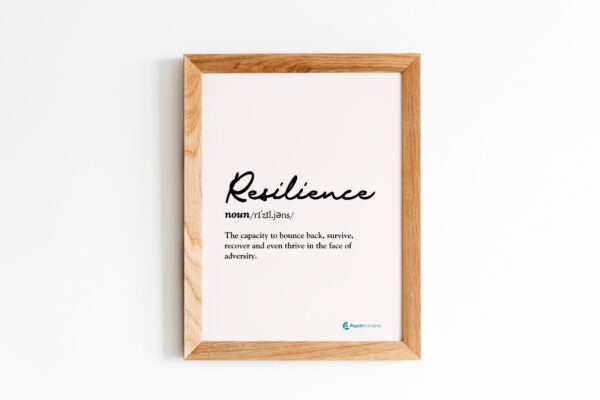 The Essence of Resilience Frame